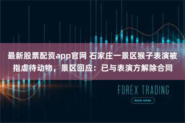 最新股票配资app官网 石家庄一景区猴子表演被指虐待动物，景区回应：已与表演方解除合同